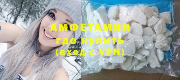 индика Вяземский