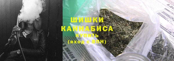 индика Вяземский