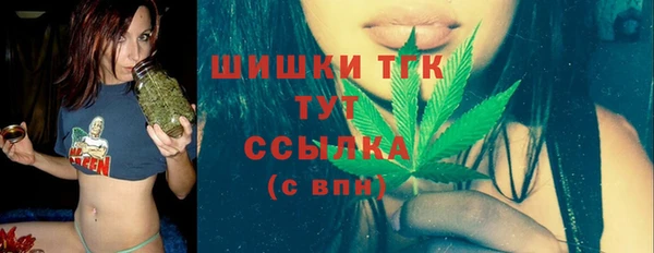 бошки Гусев