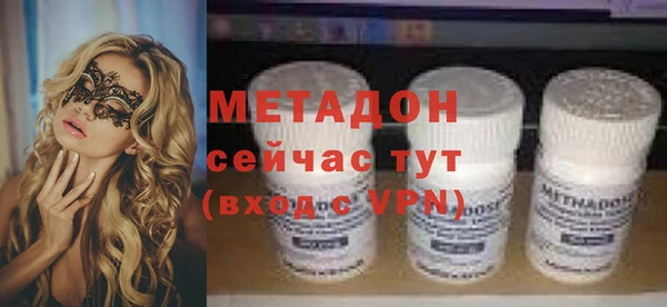 индика Вяземский