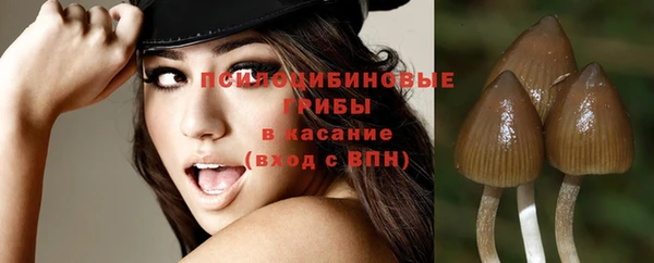 прущие грибы Вязьма