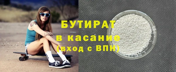 индика Вяземский