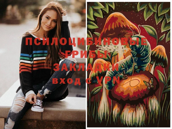 сатива Волосово