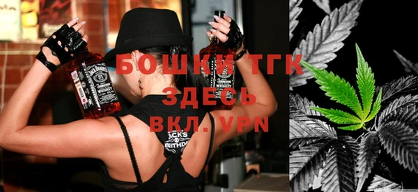 прущие грибы Вязьма