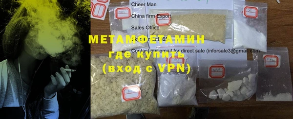 индика Вяземский