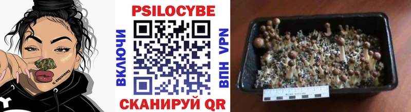 shop наркотические препараты  kraken ONION  Гусиноозёрск  Галлюциногенные грибы прущие грибы 