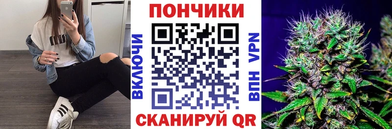 как найти   Гусиноозёрск  Каннабис Amnesia 